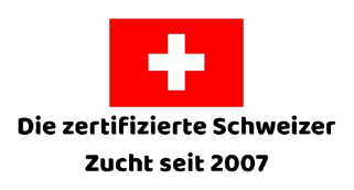 Die zertifizierte Schweizer Zucht seit 2007