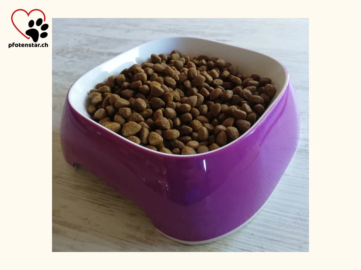 Katzenfutter