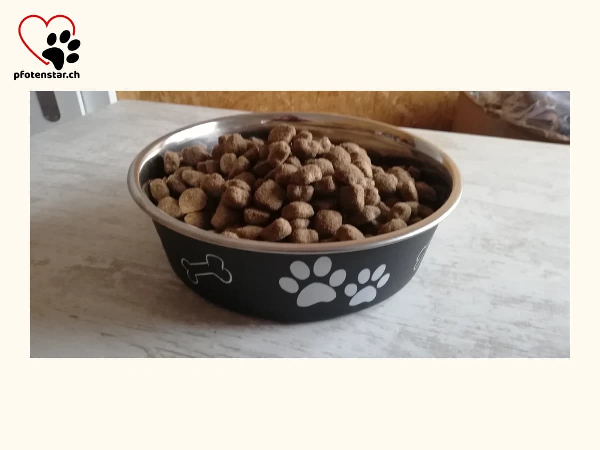 Lamm-Futter
